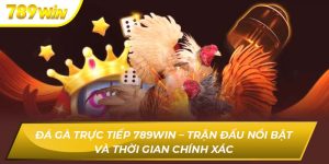 Đá Gà Trực Tiếp 789WIN – Trận Đấu Nổi Bật Kịch Tính Đá Gà Trực Tiếp 789WIN