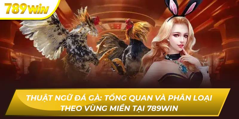 Thuật Ngữ Đá Gà: Tổng Quan Theo Vùng Miền Tại 789WIN Thuật Ngữ Đá Gà